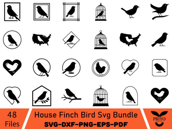 House Finch Bird Svg Bundle